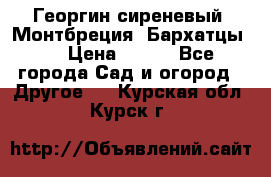 Георгин сиреневый. Монтбреция. Бархатцы.  › Цена ­ 100 - Все города Сад и огород » Другое   . Курская обл.,Курск г.